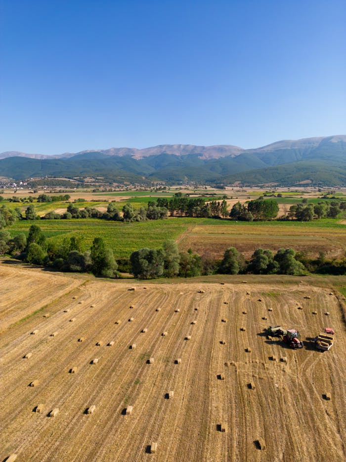 Aerial view of harvested fields with hay bales and a tractor under a clear blue sky.