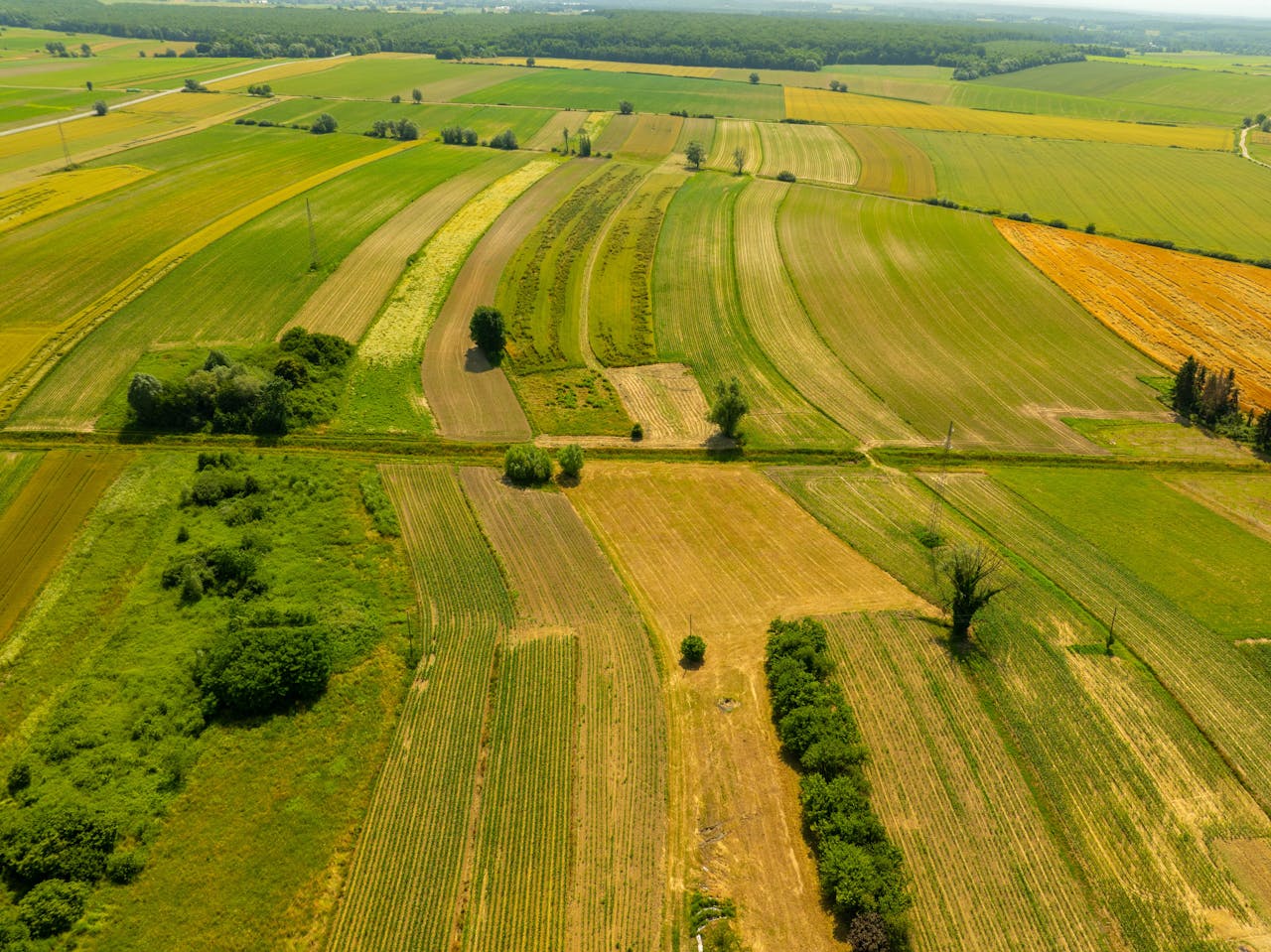 Aerial view of vibrant fields in Hercegovac, Croatia, showcasing summer abundance.